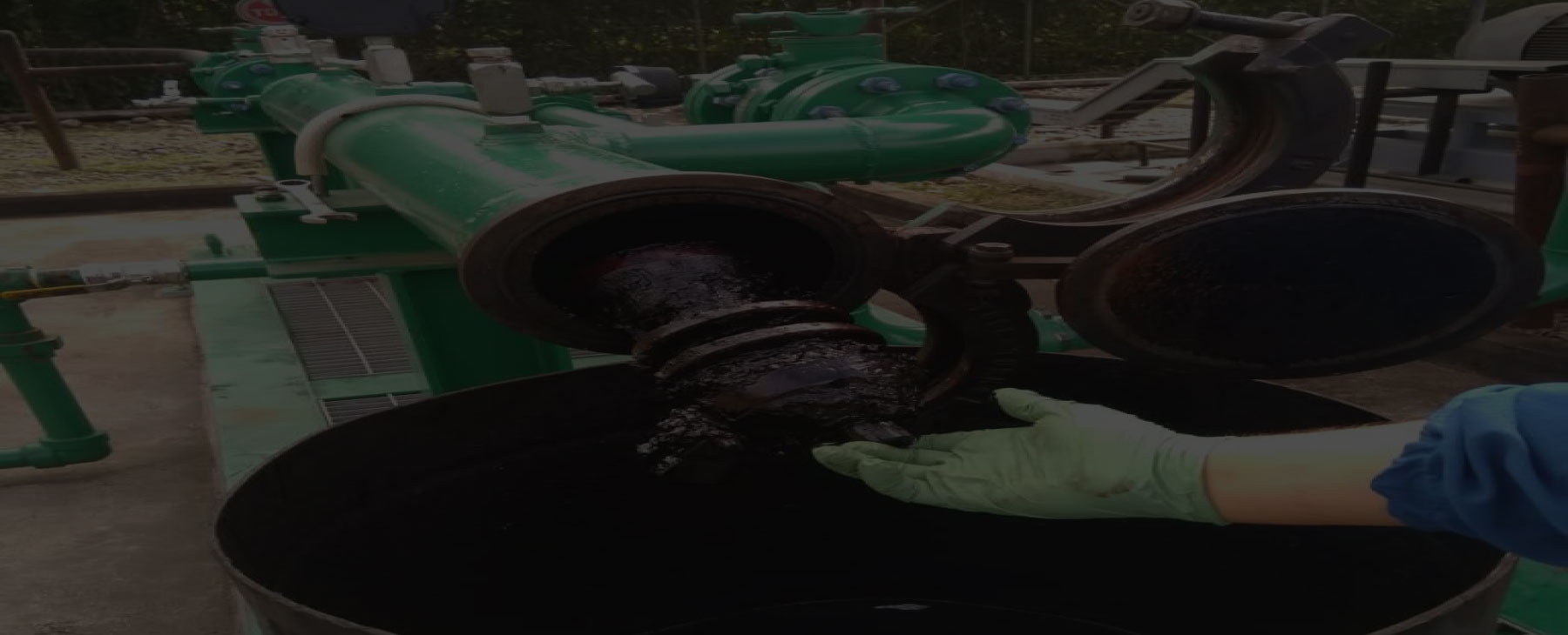 pigslimpiezatuberiasecuador